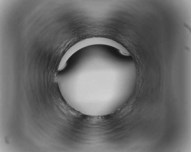 X0000102790384200809081055