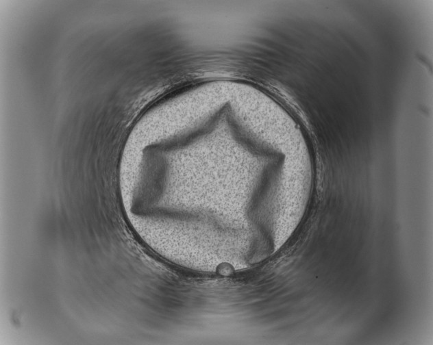 X0000102790385200809081054