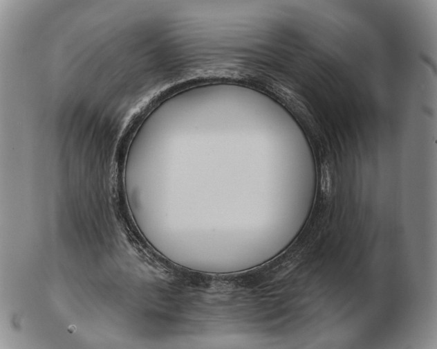 X0000102790388200809081054