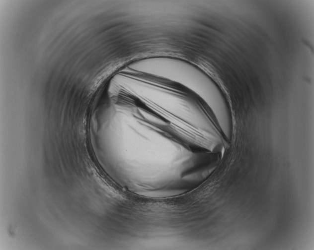 X0000102790389200809081054