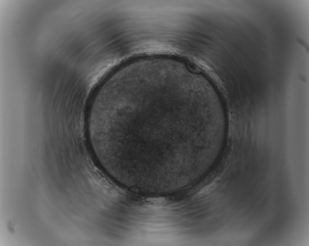 X0000102790391200809081054