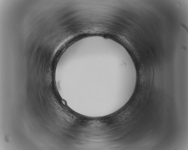 X0000102790392200809081054