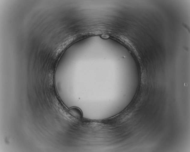 X0000102790393200809081054