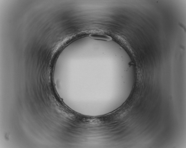 X0000102790395200809081054