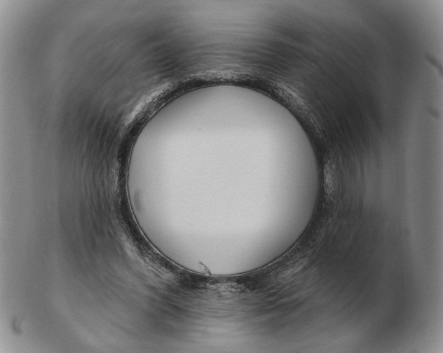 X0000102790396200809081054