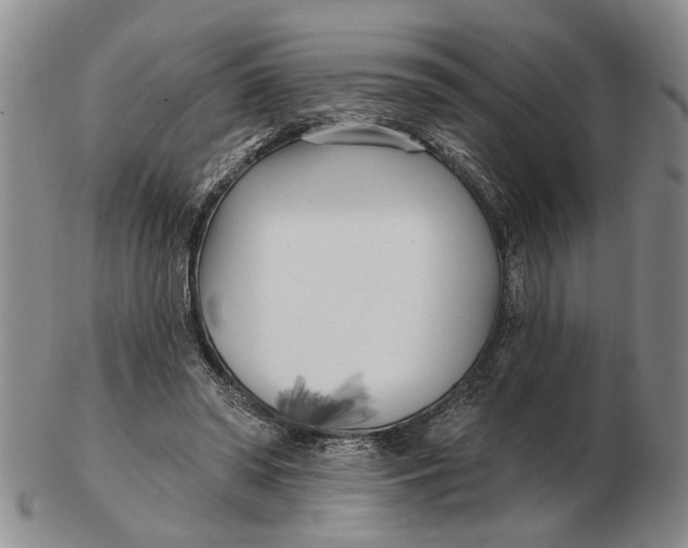 X0000102790398200809081054