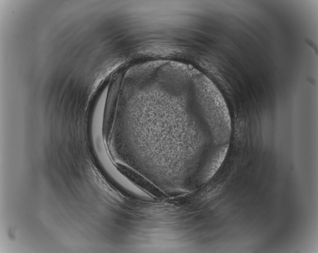 X0000102790399200809081054