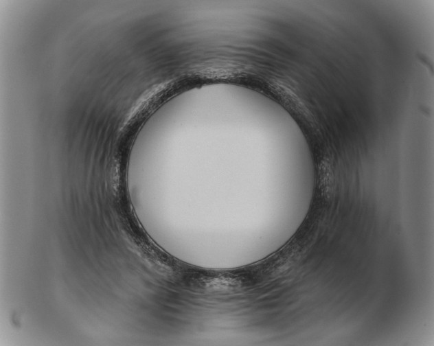 X0000102790400200809081054