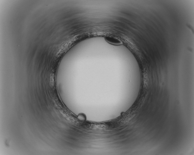 X0000102790401200809081054