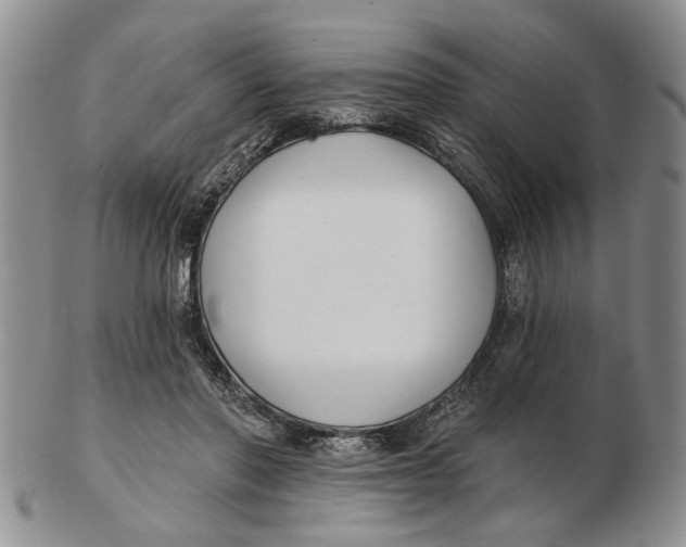 X0000102790406200809081054