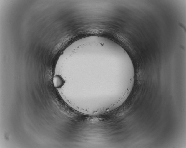 X0000102790407200809081054