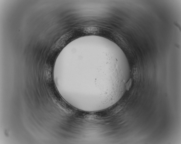 X0000102790408200809081054