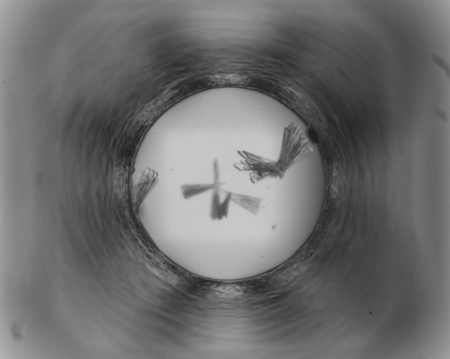 X0000102790409200809081054