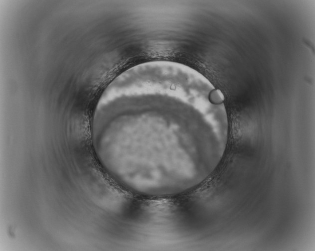 X0000102790411200809081054