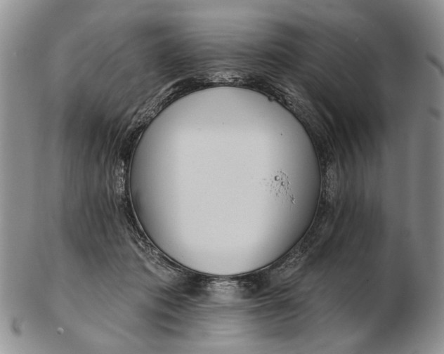 X0000102790413200809081054