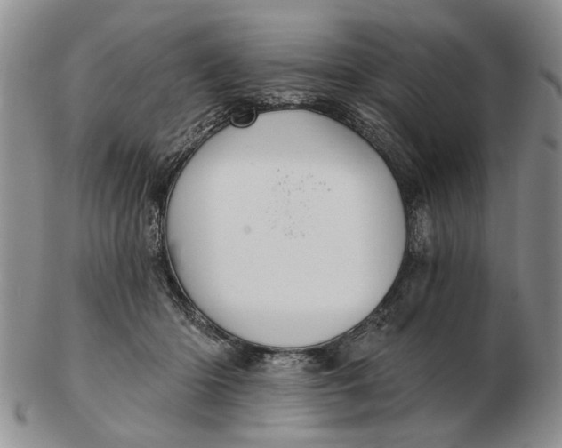 X0000102790414200809081054