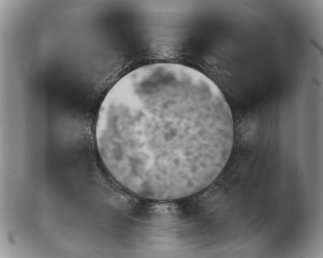 X0000102790415200809081054