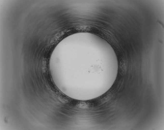 X0000102790416200809081054