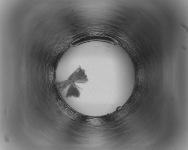 X0000102790417200809081054