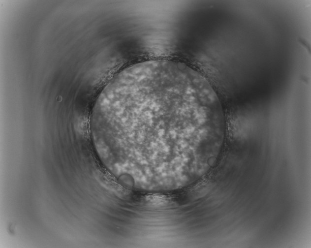 X0000102790419200809081054