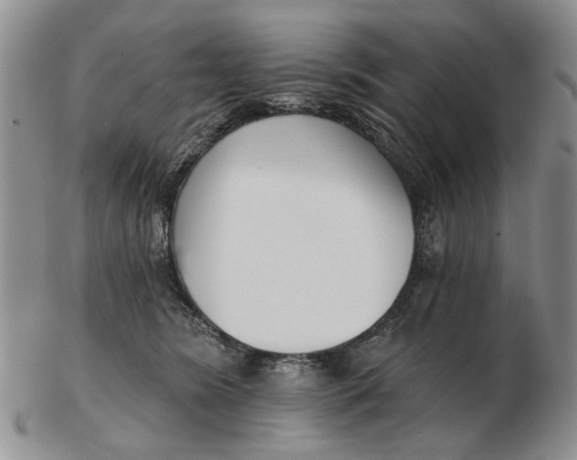 X0000102790420200809081054