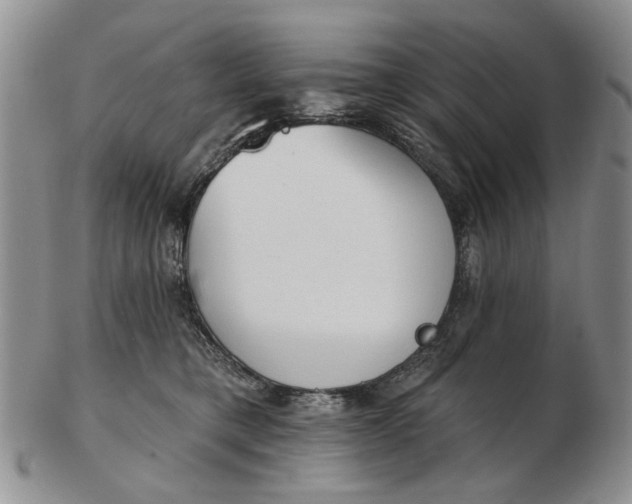 X0000102790421200809081054