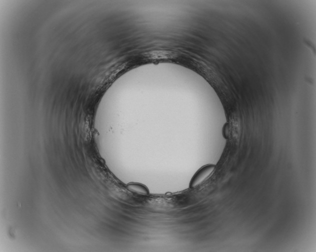 X0000102790422200809081054