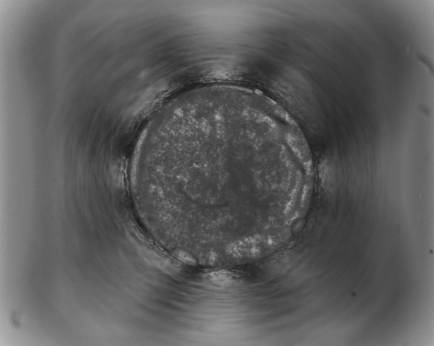 X0000102790423200809081054