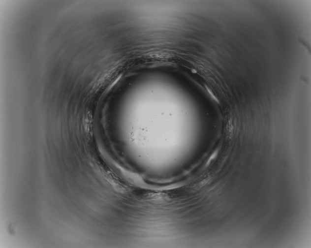 X0000102790424200809081054