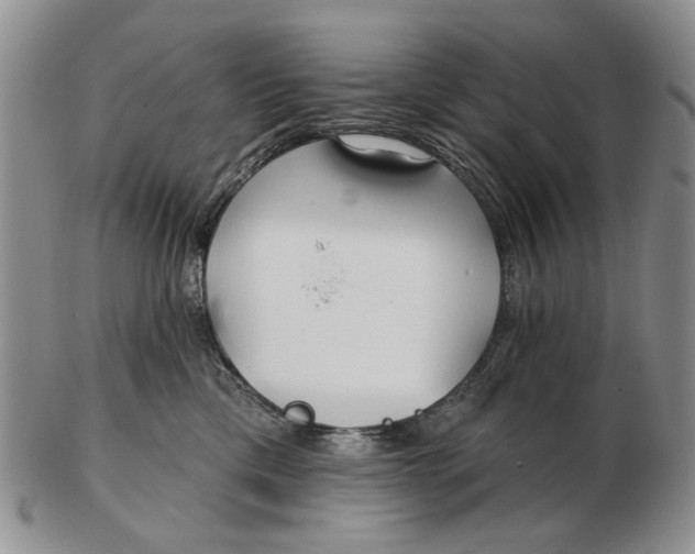 X0000102790425200809081053