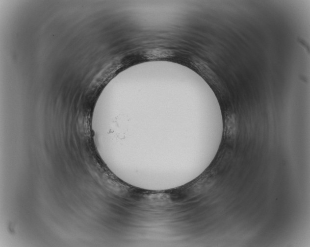 X0000102790426200809081053