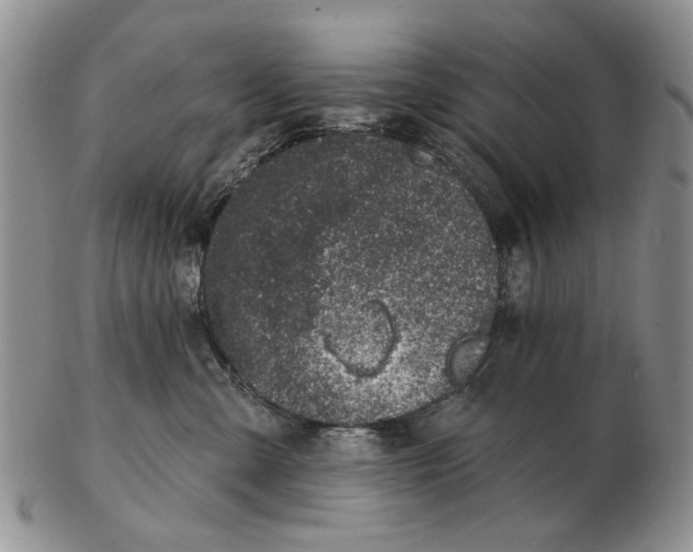 X0000102790427200809081053