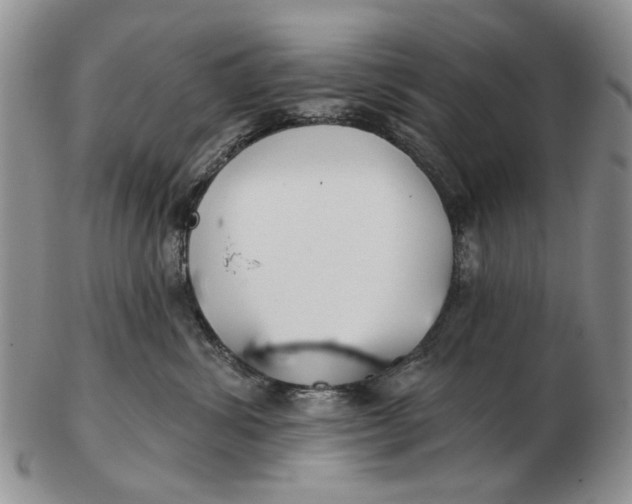 X0000102790428200809081053