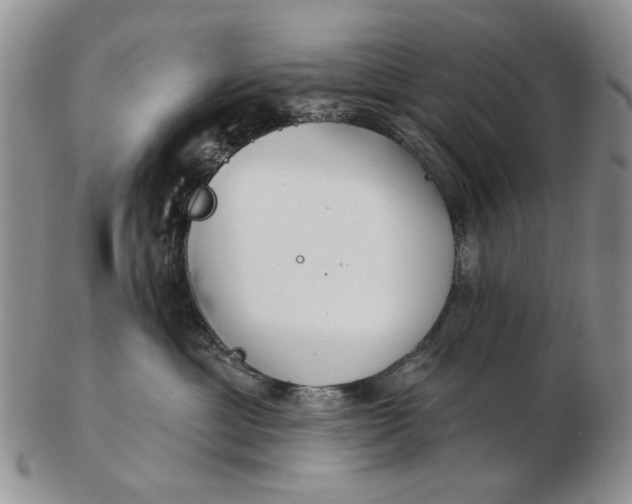 X0000102790429200809081053