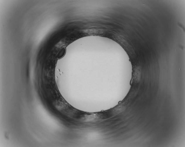 X0000102790430200809081053