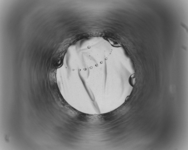 X0000102790432200809081053