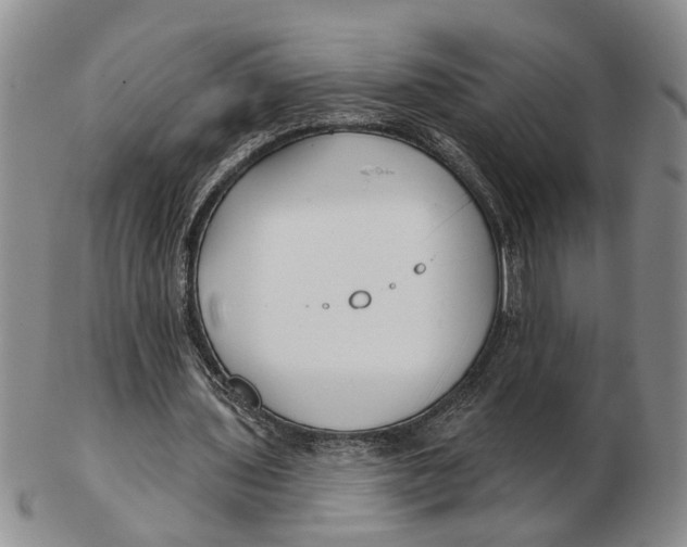 X0000102790435200809081053