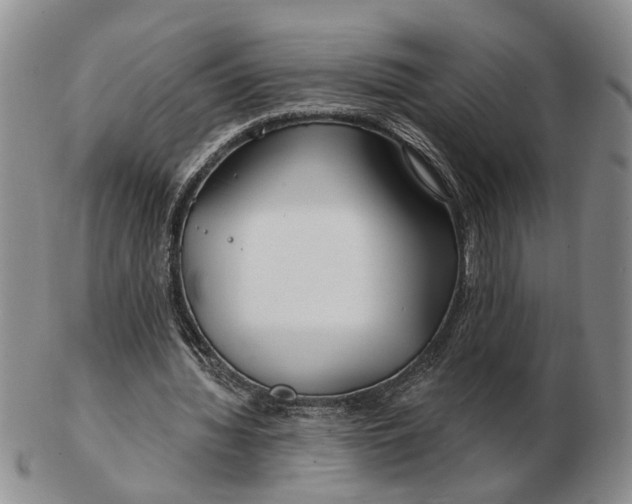 X0000102790436200809081053