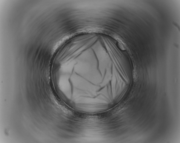 X0000102790438200809081053