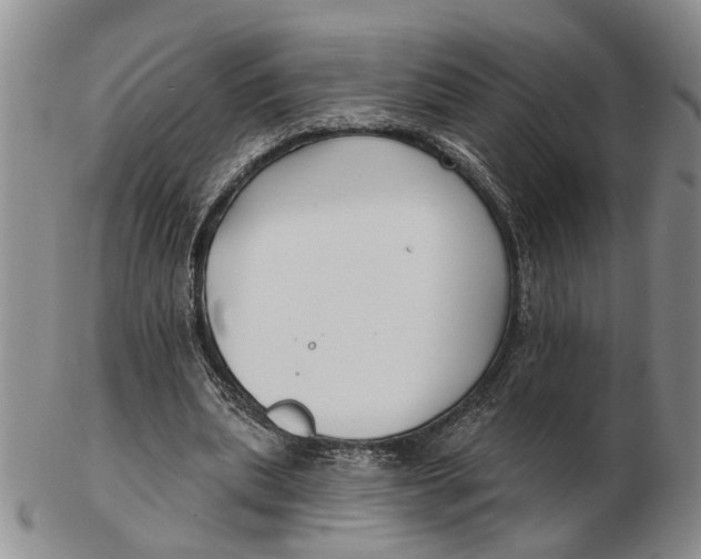 X0000102790439200809081053