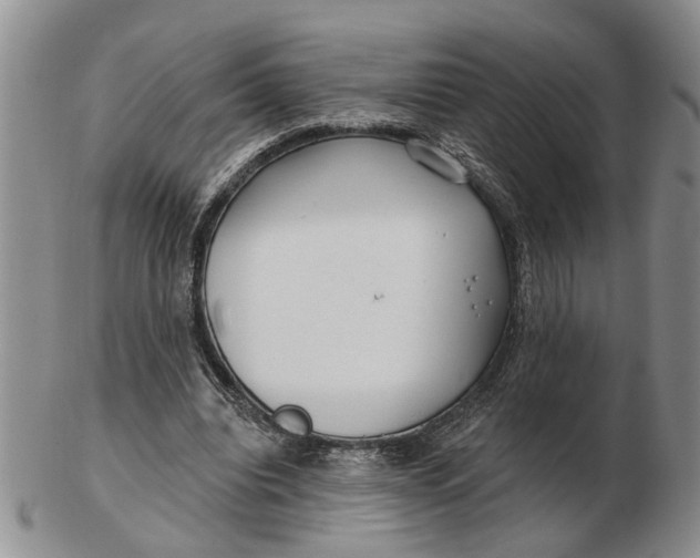 X0000102790440200809081053