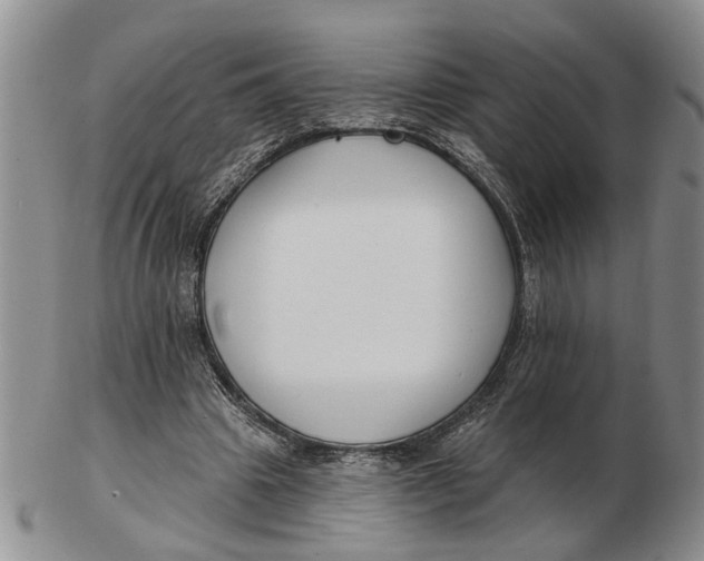 X0000102790441200809081053