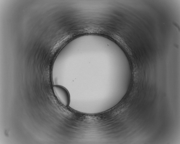 X0000102790442200809081053