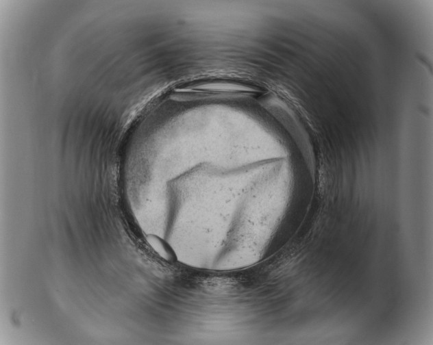 X0000102790444200809081053