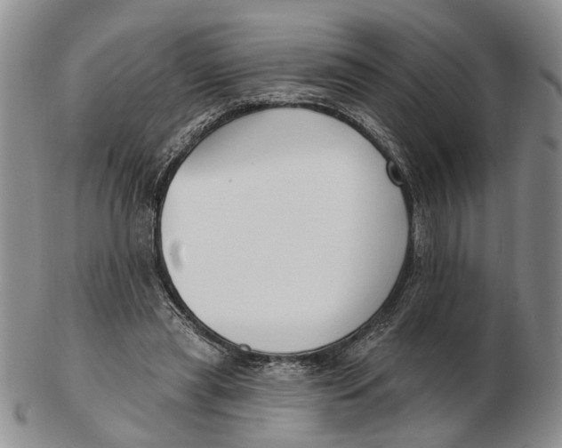 X0000102790445200809081053