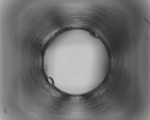 X0000102790446200809081053