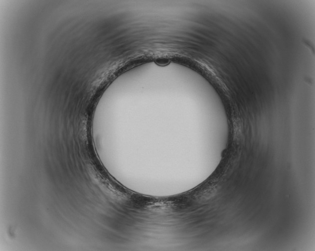 X0000102790447200809081053