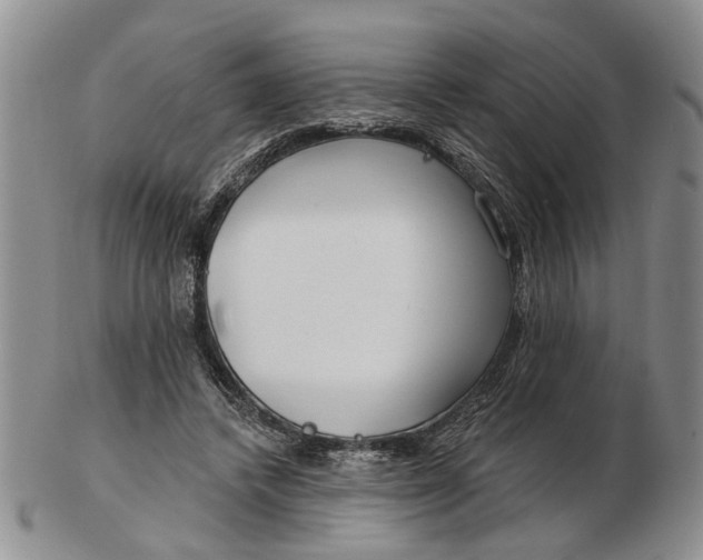 X0000102790448200809081053