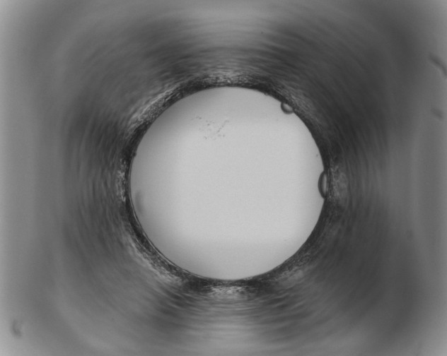 X0000102790450200809081053