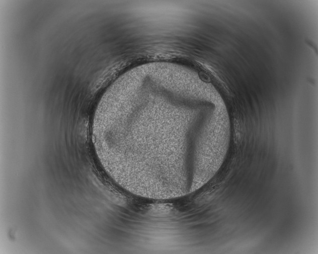 X0000102790451200809081053